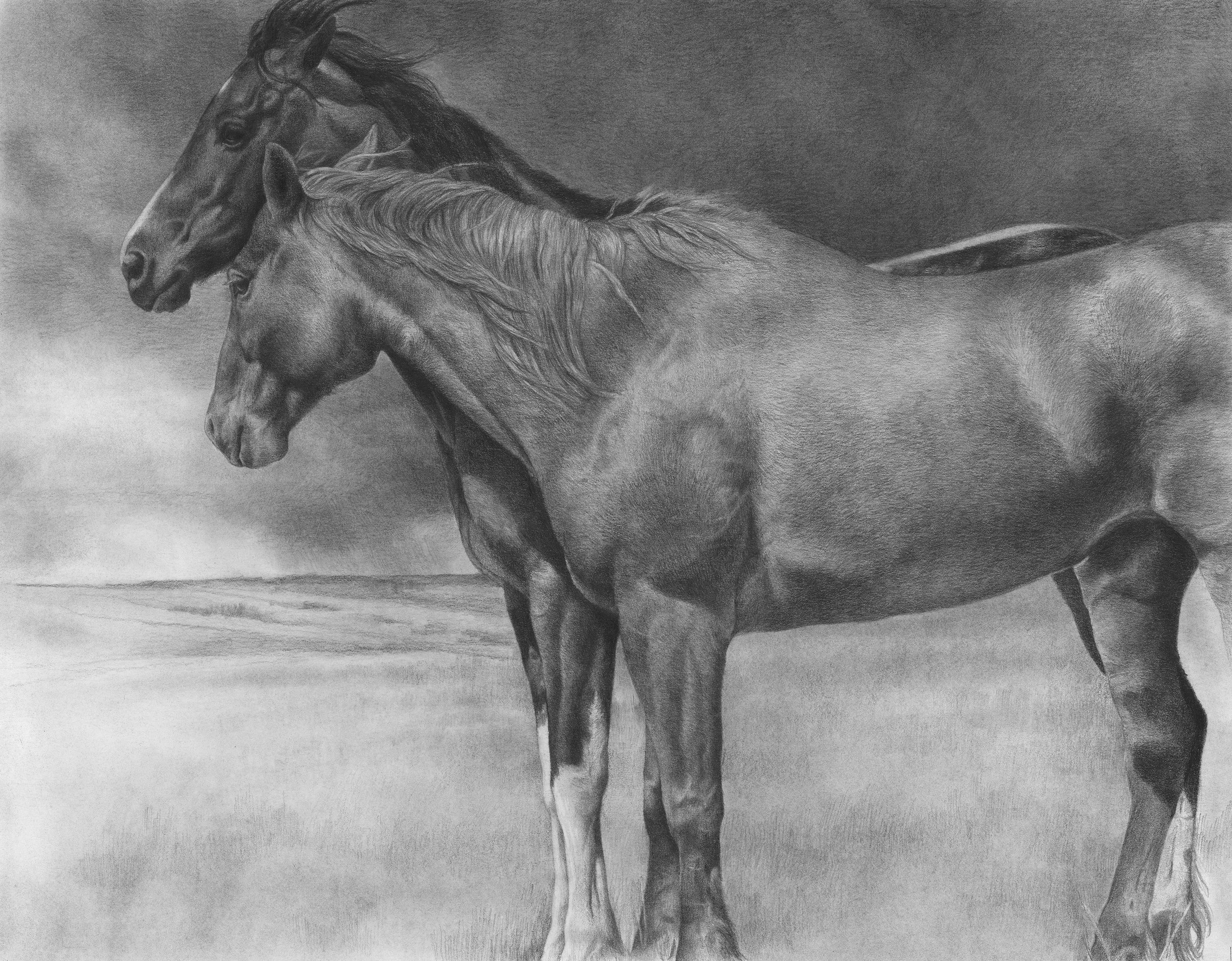 "Wyoming Skies" by Karmel Timmons. Pencil, 20 x 26 inches, $7,500. Lot 26.