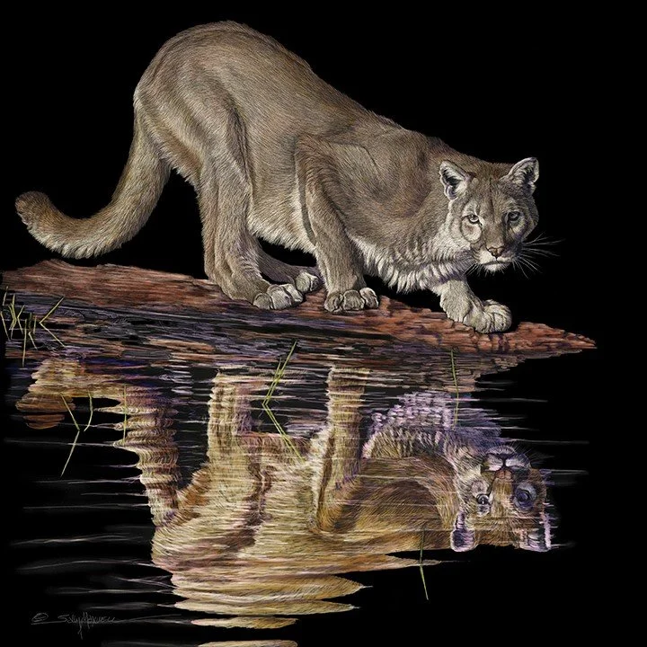 "Duality" by Sally Maxwell. Colored Scratchboard, 30 x 30 inches, $25,000. Lot 19.
