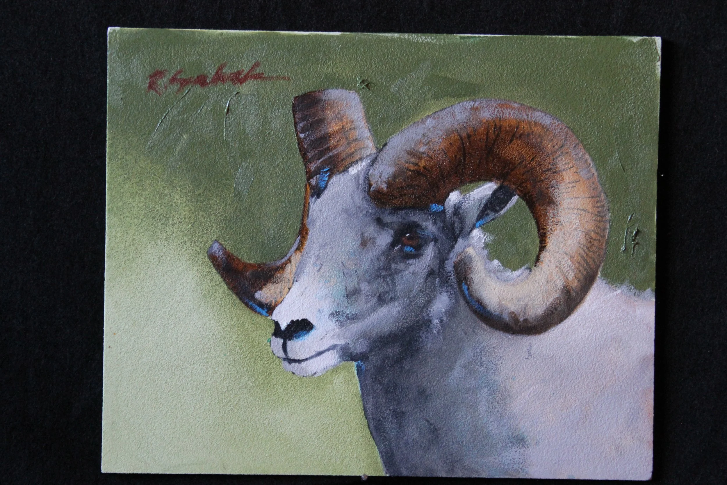 "Mountain Sheep" - Robert Seabeck
