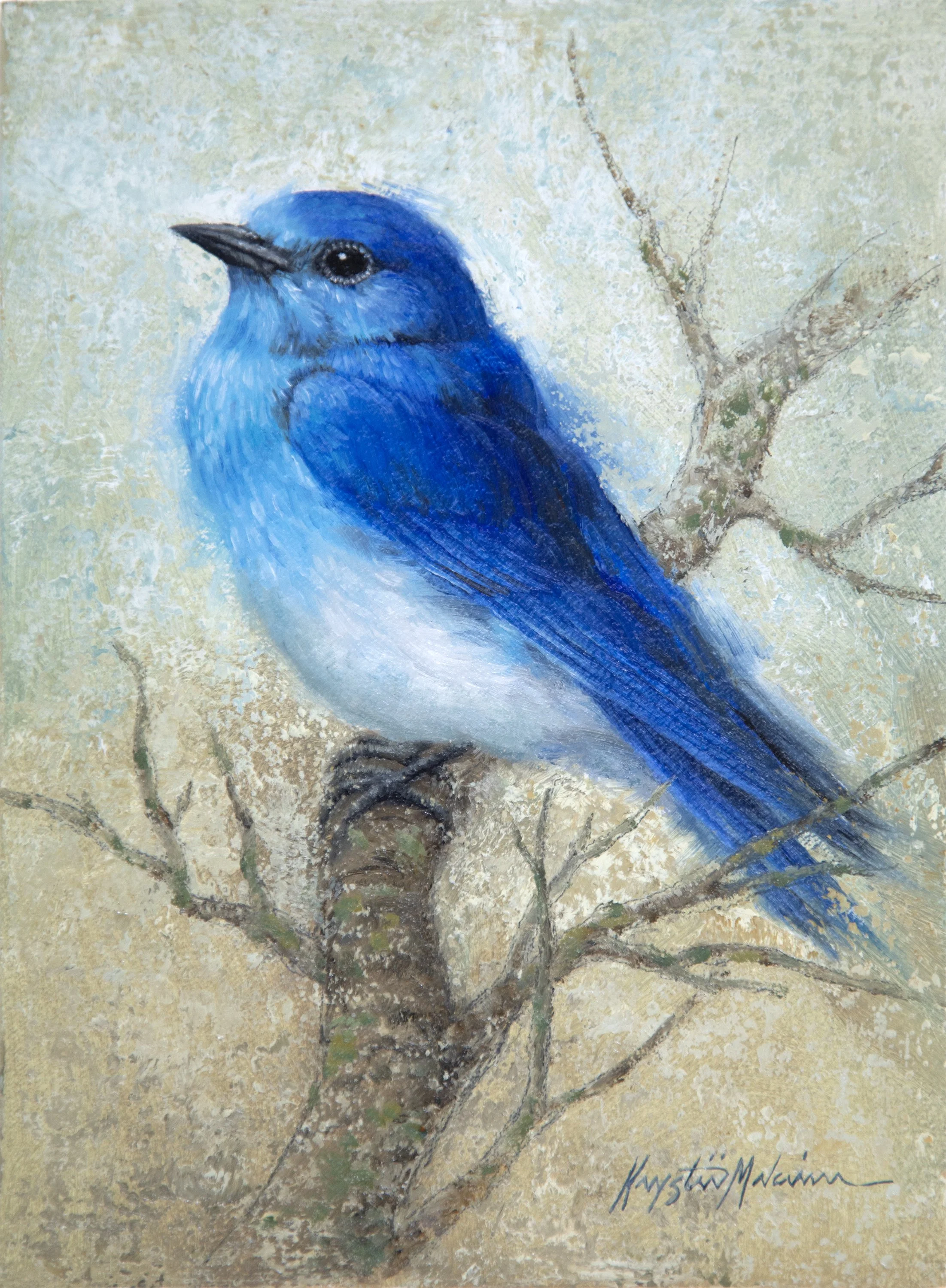 "Mountain Bluebird" - Krystii Melaine
