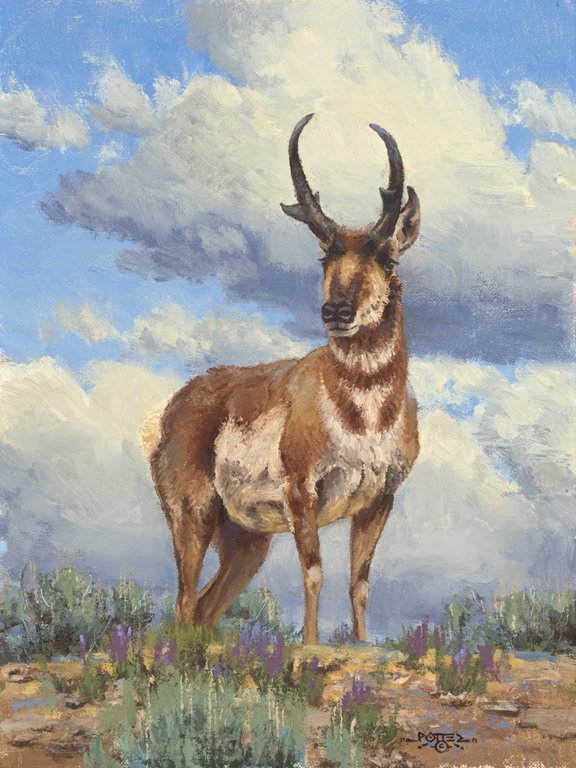 "Reigning on High" - John Potter