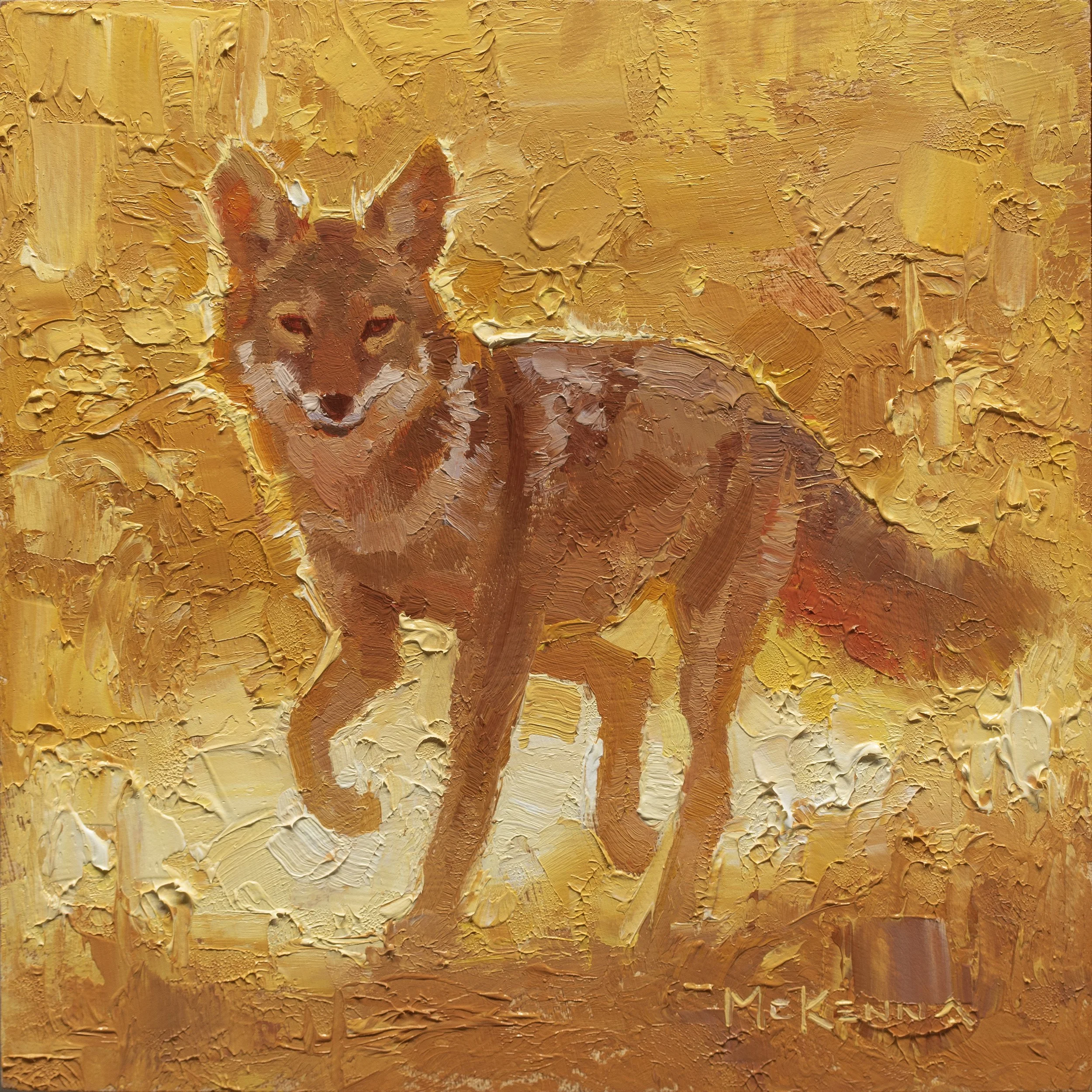 "Coyote Glow" - Mark McKenna