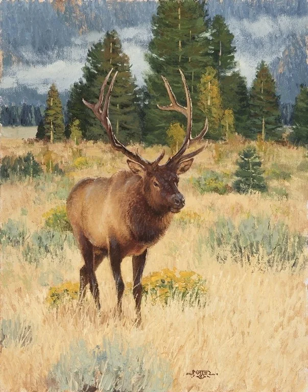 "Scent of Winter" - John Potter