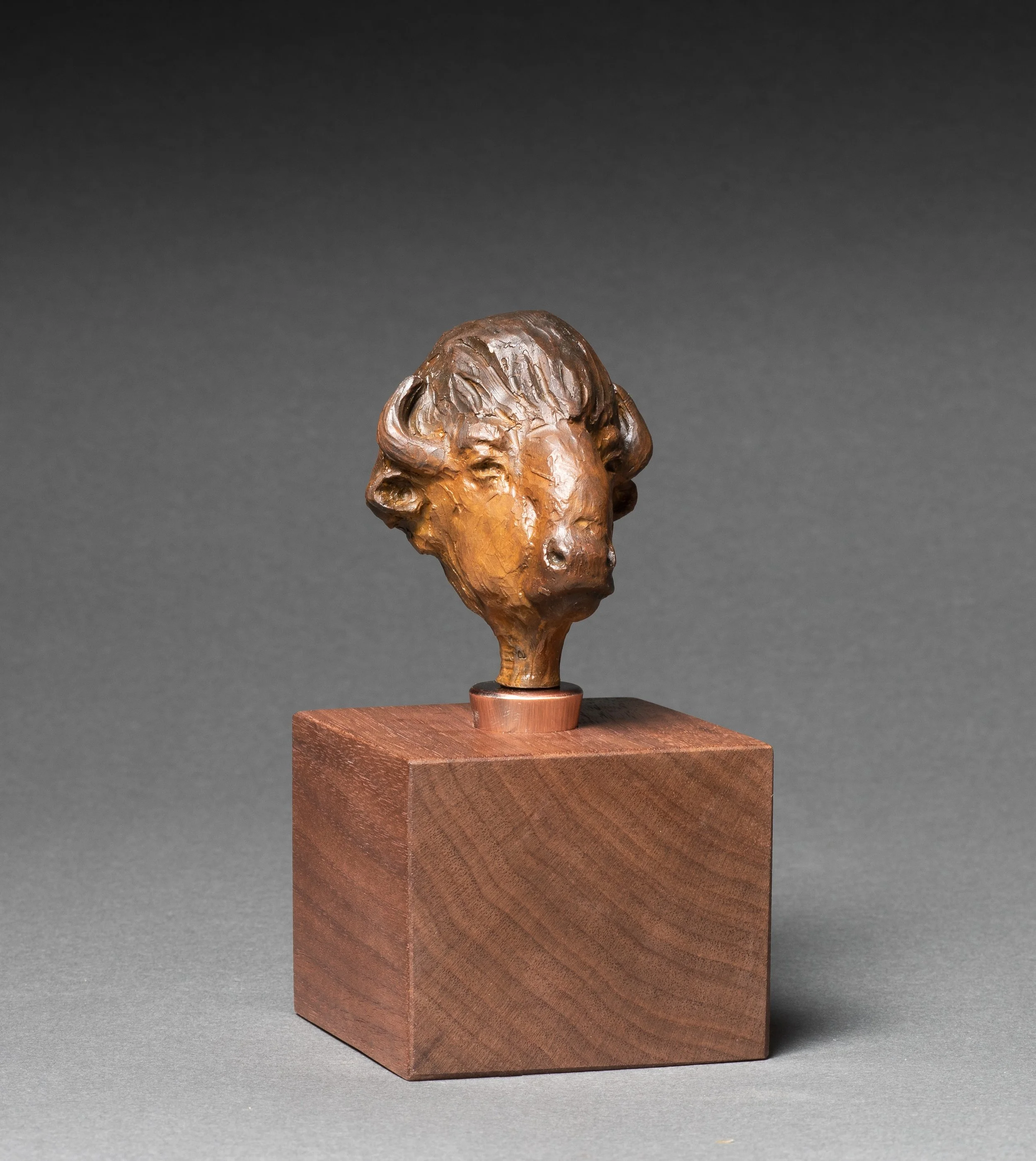 "Bison Bottle Stopper" - Dustin Payne