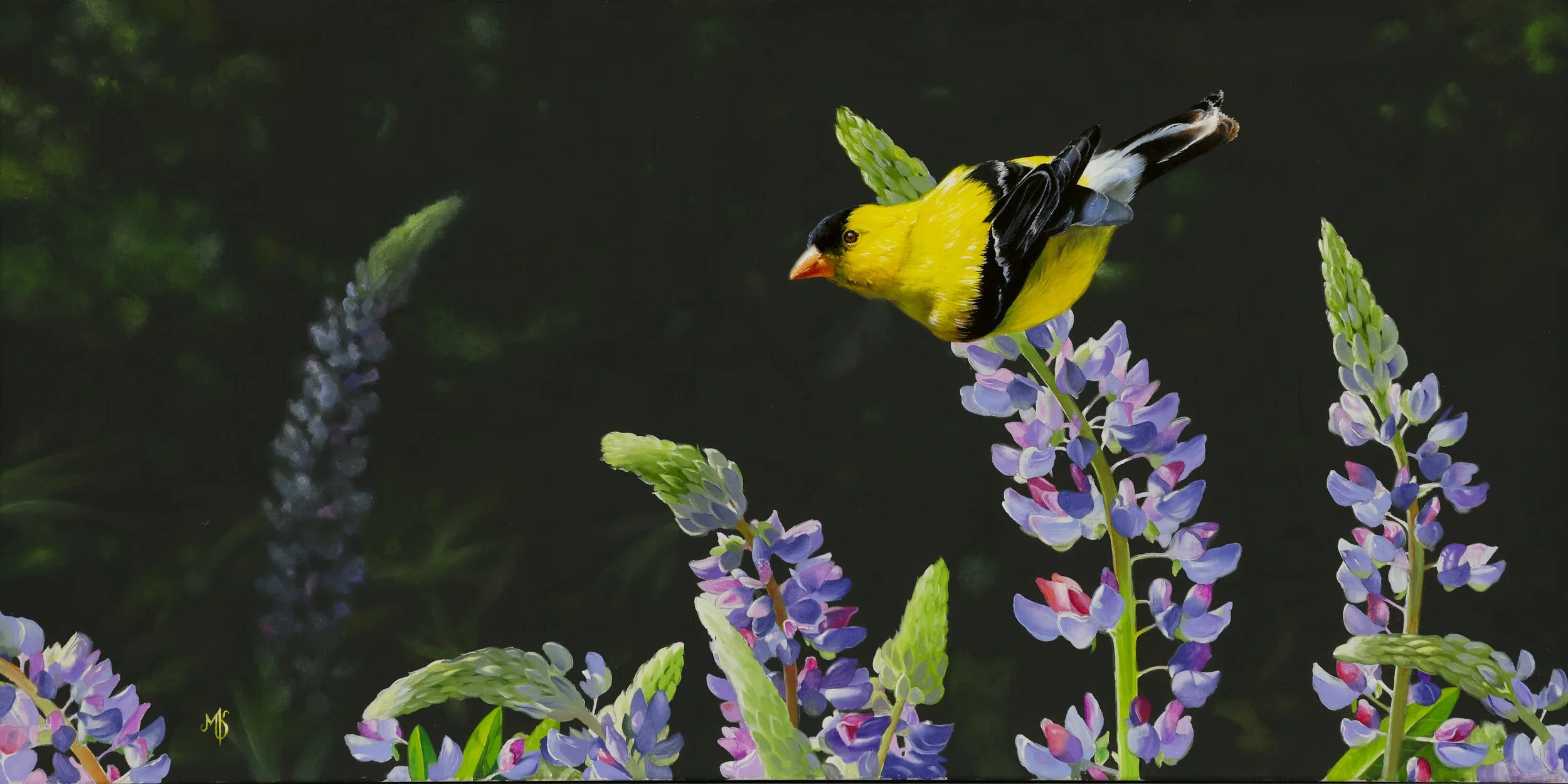 "Royal Colors" - Mark Kelso