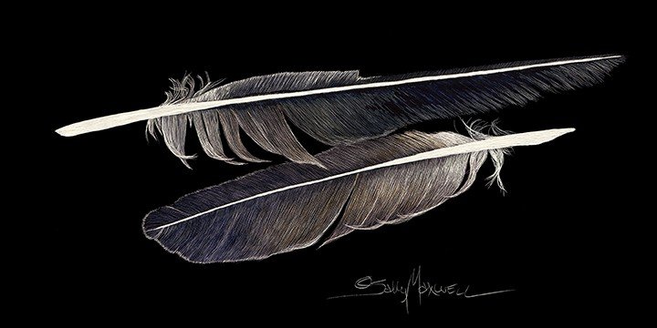 Maxwell_BIN_2025_Feathers of a Bird 12x6 10 inches 72 dpi (002).jpg
