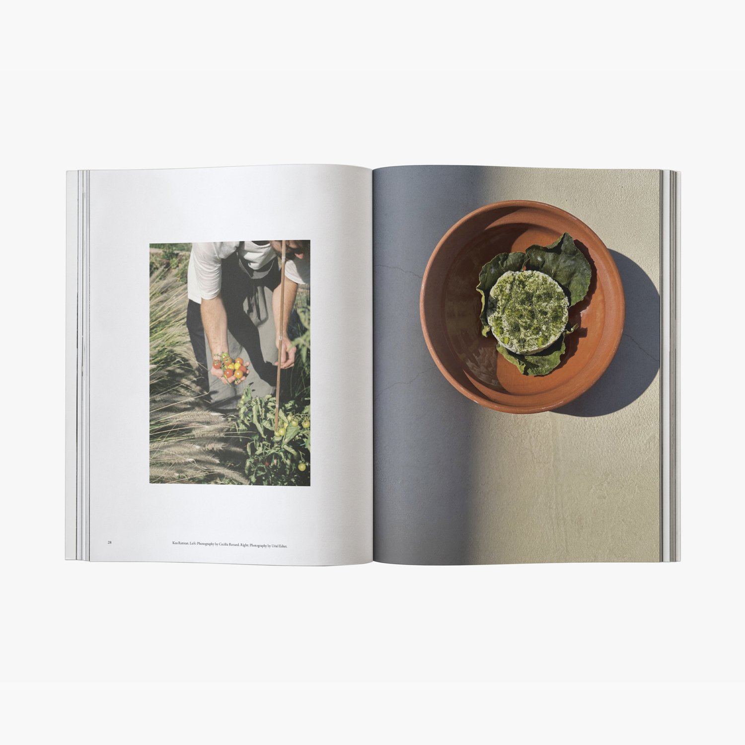 TGF_VOL_03_006.jpg