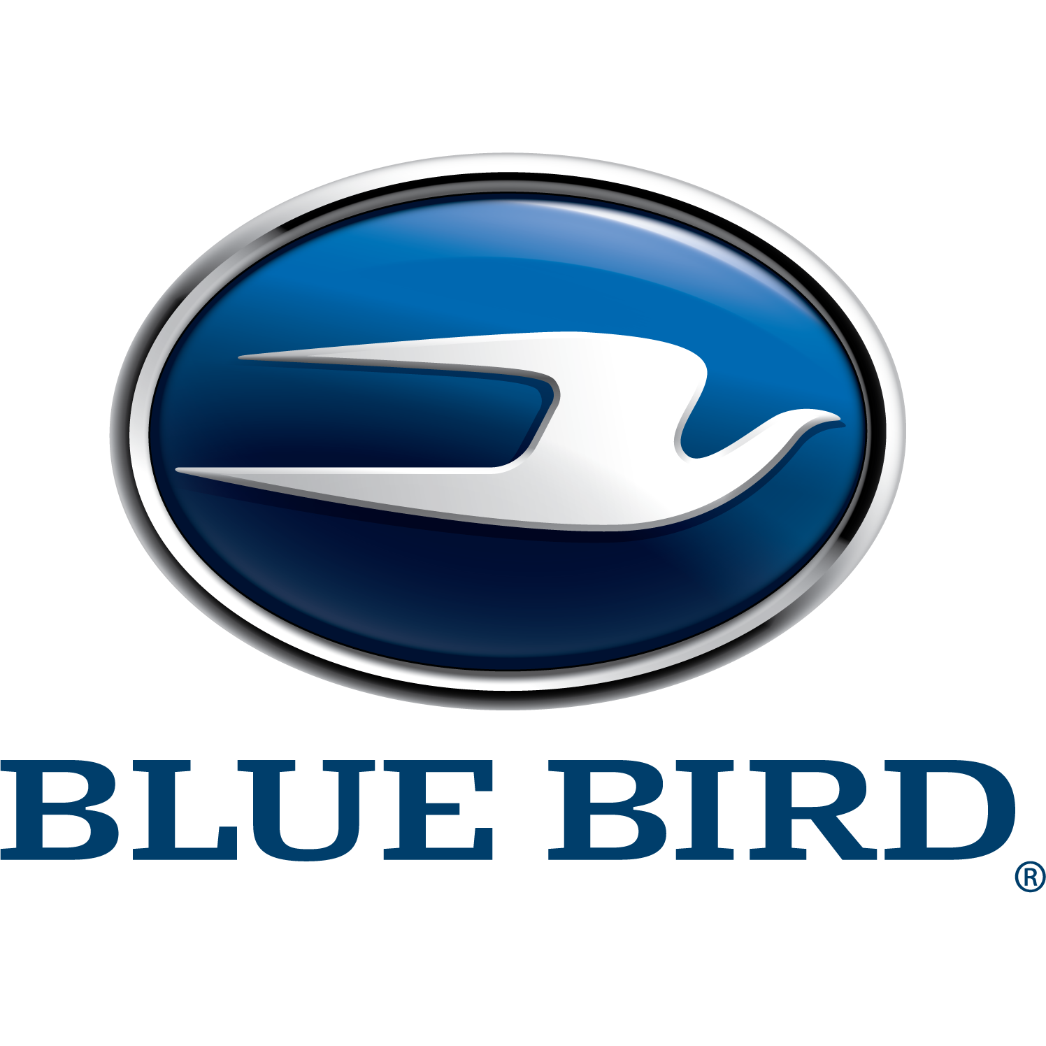blue-bird-bus.png