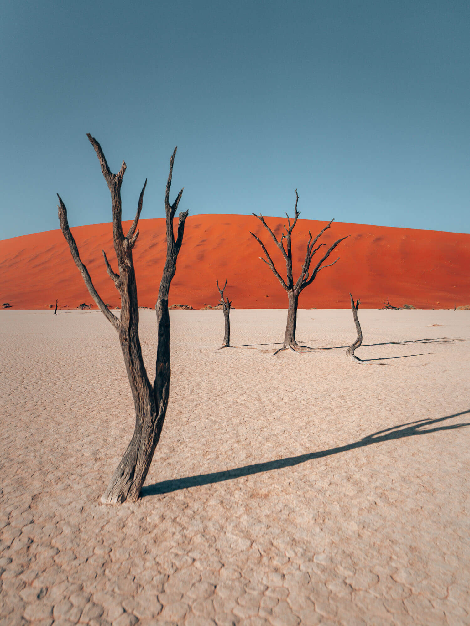 Sossuvlei Namibia Landscape Photography.jpg