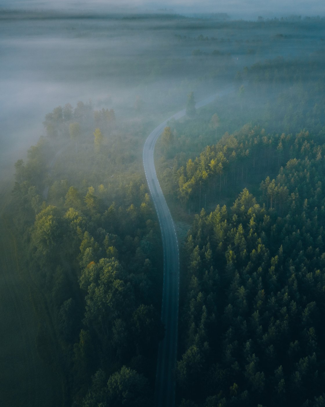 Aerial Photography Above Swedish Forest Road By airpixels.jpg