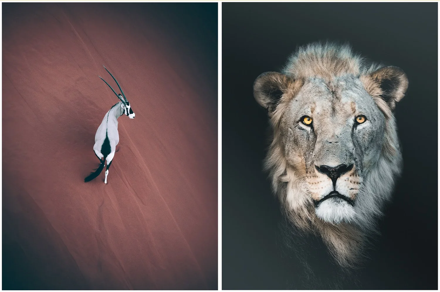 Namibia Photography Tour March 2025 — Airpixels Photography & Film