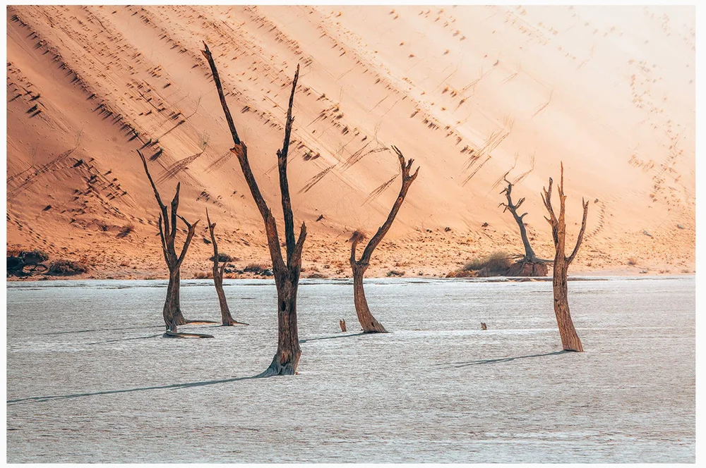 Namibia Photography Tour March 2025 — Airpixels Photography & Film