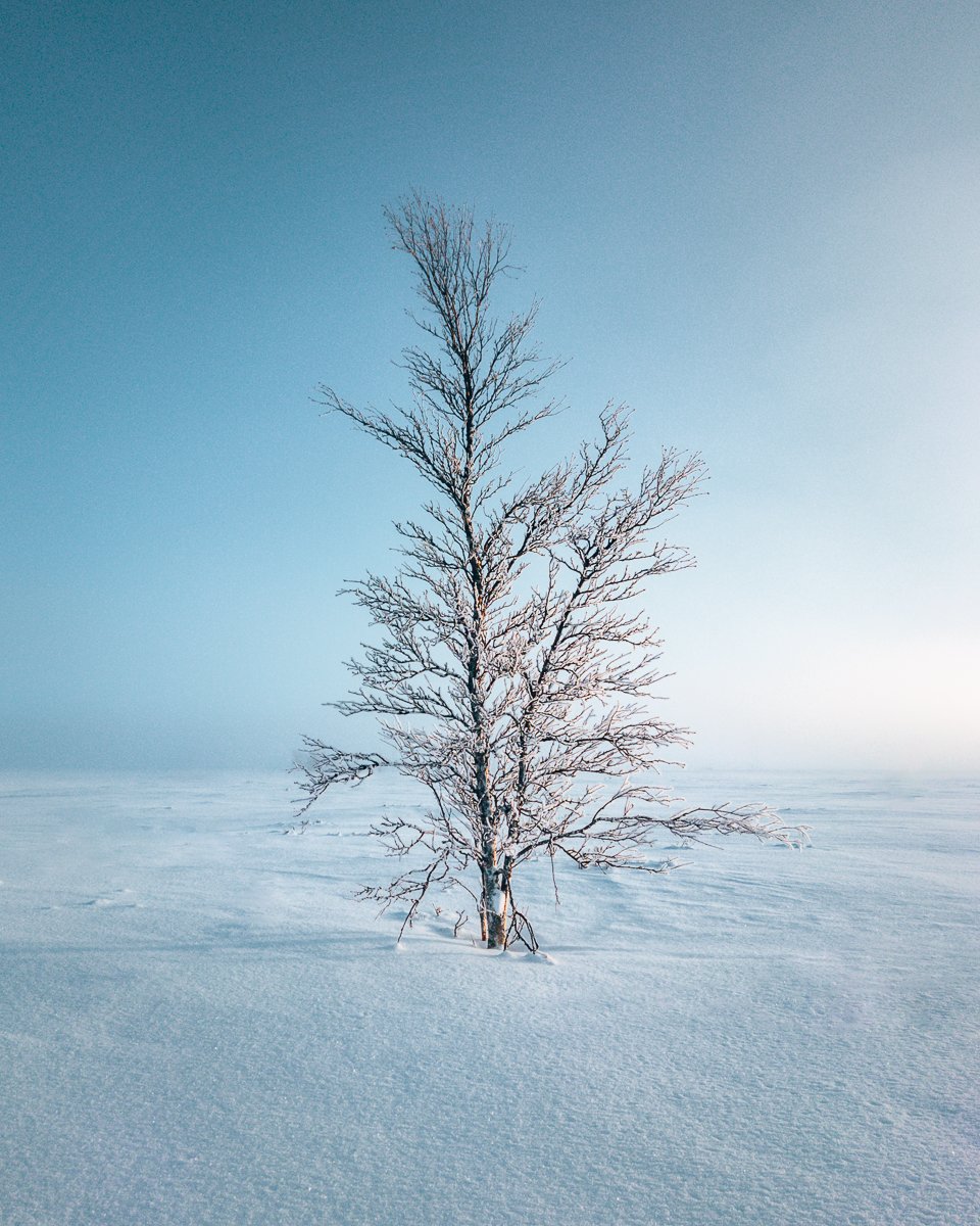 Sony Xperia Mobile Photo Åre_.jpg