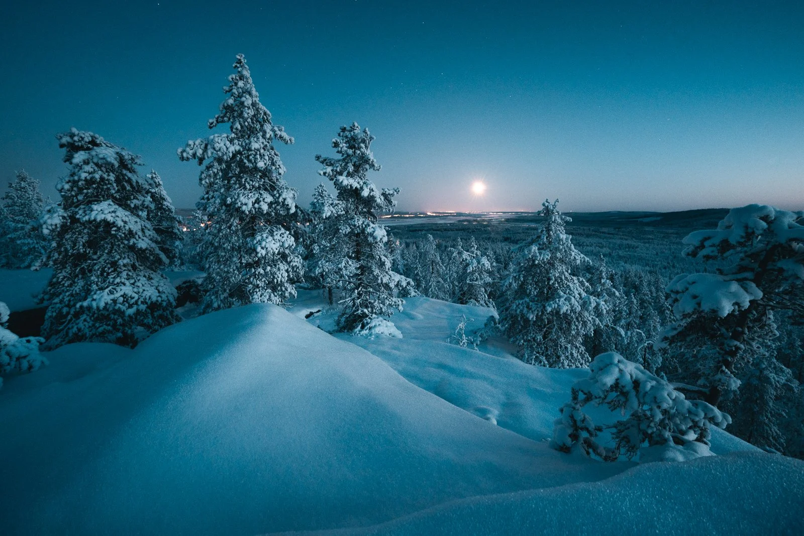Snow-covered trees in a winter landscape under a moonlit sky.