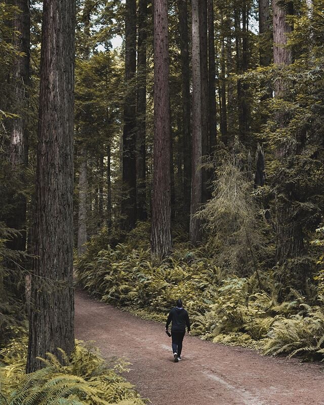 Move at your own pace &amp; enjoy the journey! 🌲🌲🌲🌲 Also go wish my brother @nls.ww (guy in the photo) a happy birthday !🎂 -
-
-
-
-
-
-
-
-
#portraitphotography #earthportraits #gameoftones #adobelightroom #humbolt #humboltcounty #forestexplore