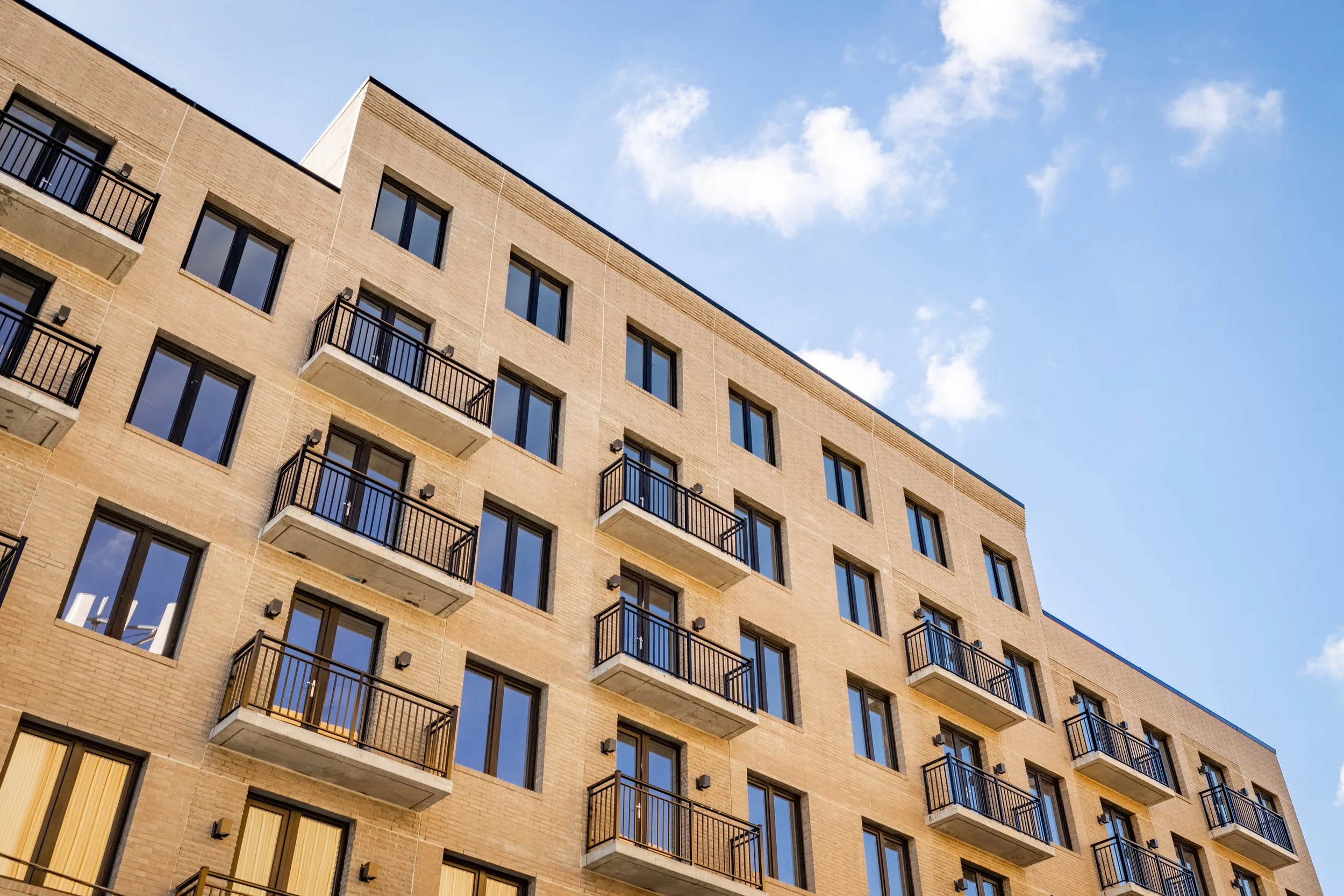 Brooklyn Group 08_23_2022-52.jpg