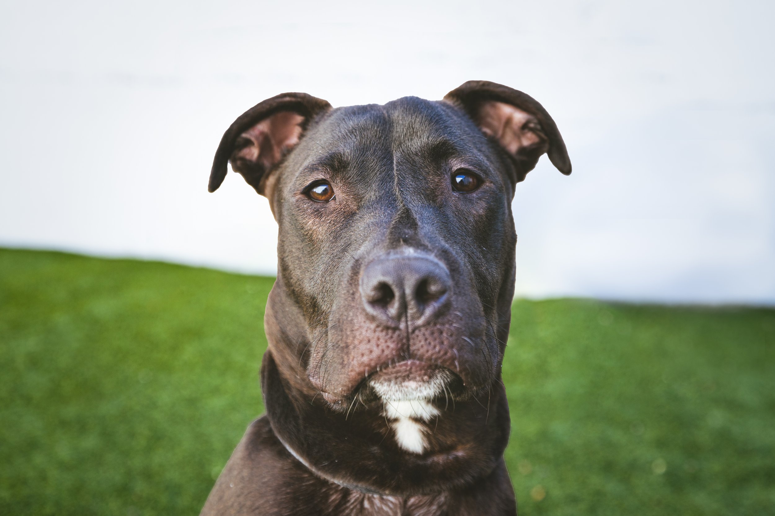 10_20_2022 AMA-04.jpg