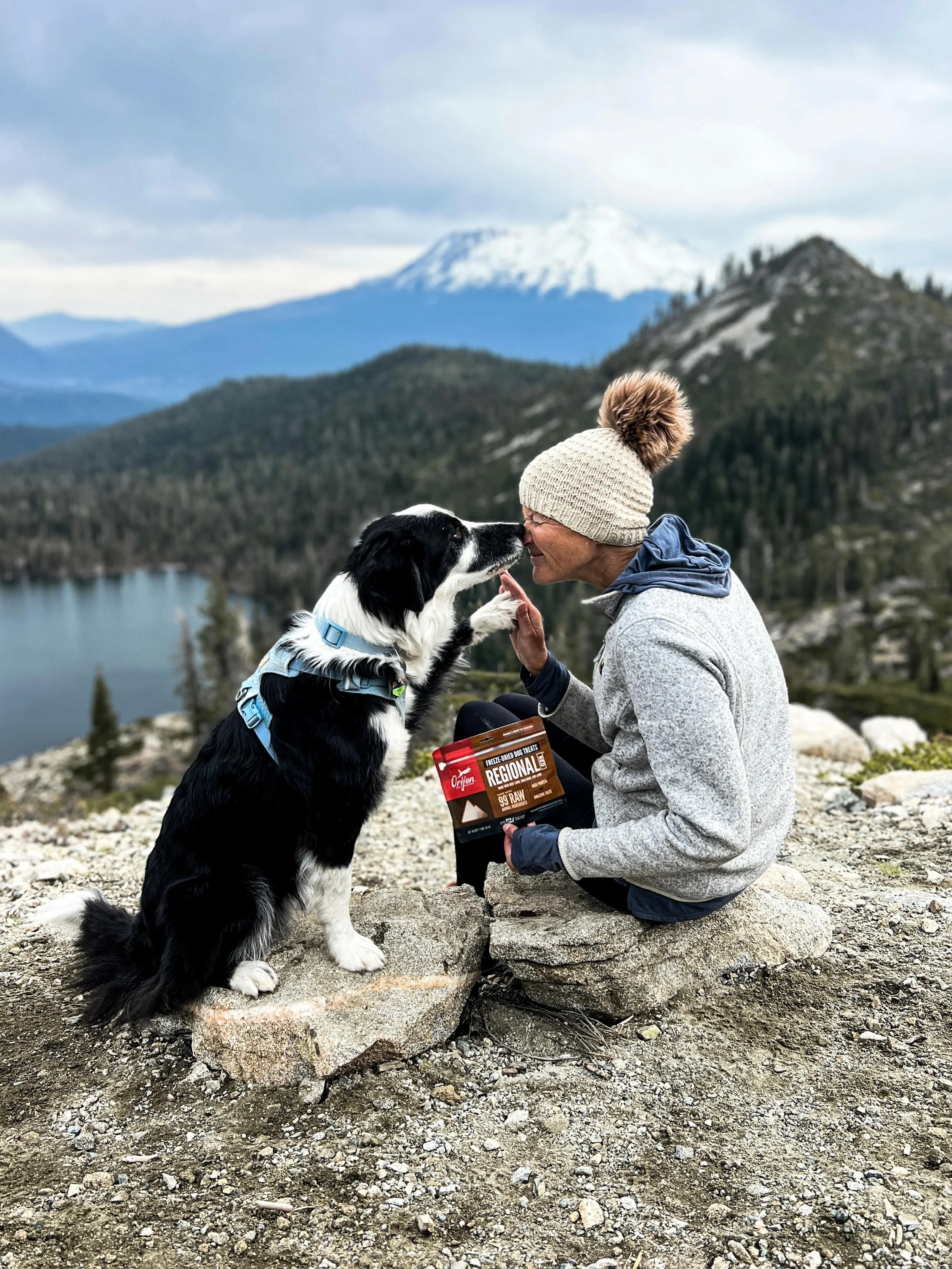 Feed them better. Treat them better. Life is better. [AD]

Go beyond basic bowls.
Go beyond with freeze-dried raw treats.
Go beyond fillers.
Go beyond expectations.

Go beyond your every day with WHOLEPREY Nutrition! @ORIJENpetfood delivers what natu
