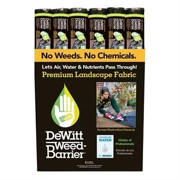 DEW6YR3100.jpg
