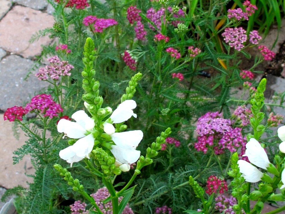 Flowers, Shrubs, Trees and Mulch in Waldorf MD