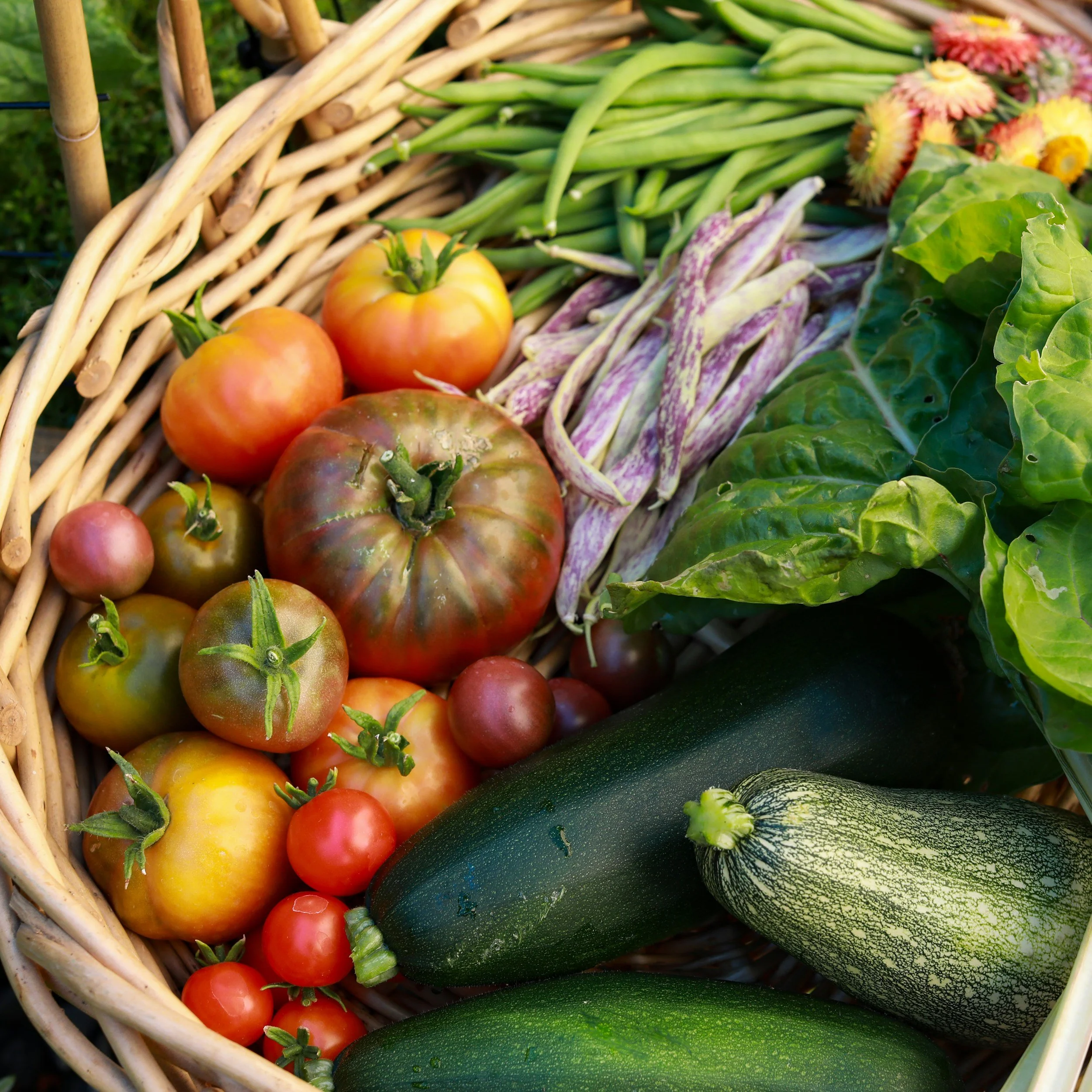 Harvest Festival 