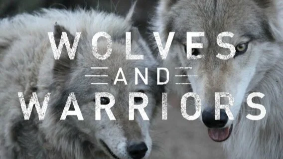 Wolves and Warriors: Rescuing wolves and helping veterans