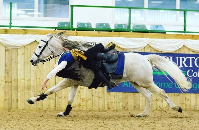 Romeooooo 🔥🔥🔥 possibly the zoomiest horse I&rsquo;ve ever hung upside down on 🤓#horses #horsesofinstagram #stuntrider #equestrian #trickrider #liberty
