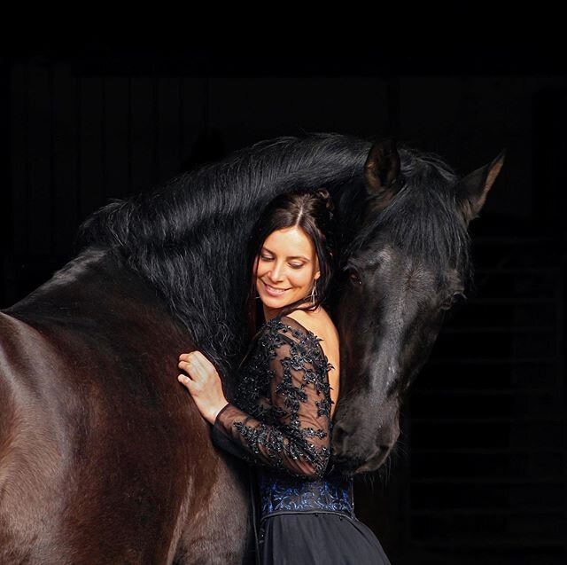 The best cuddles 🥰 #horses #horsesofinstagram #stuntrider #equestrian