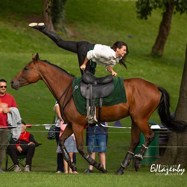 I adore this guy 😍 chuffed my best pal is with me every day! Exciting things happening! 🥰 #horses #horsesofinstagram #stuntrider #equestrian #liberty #thoroughbred