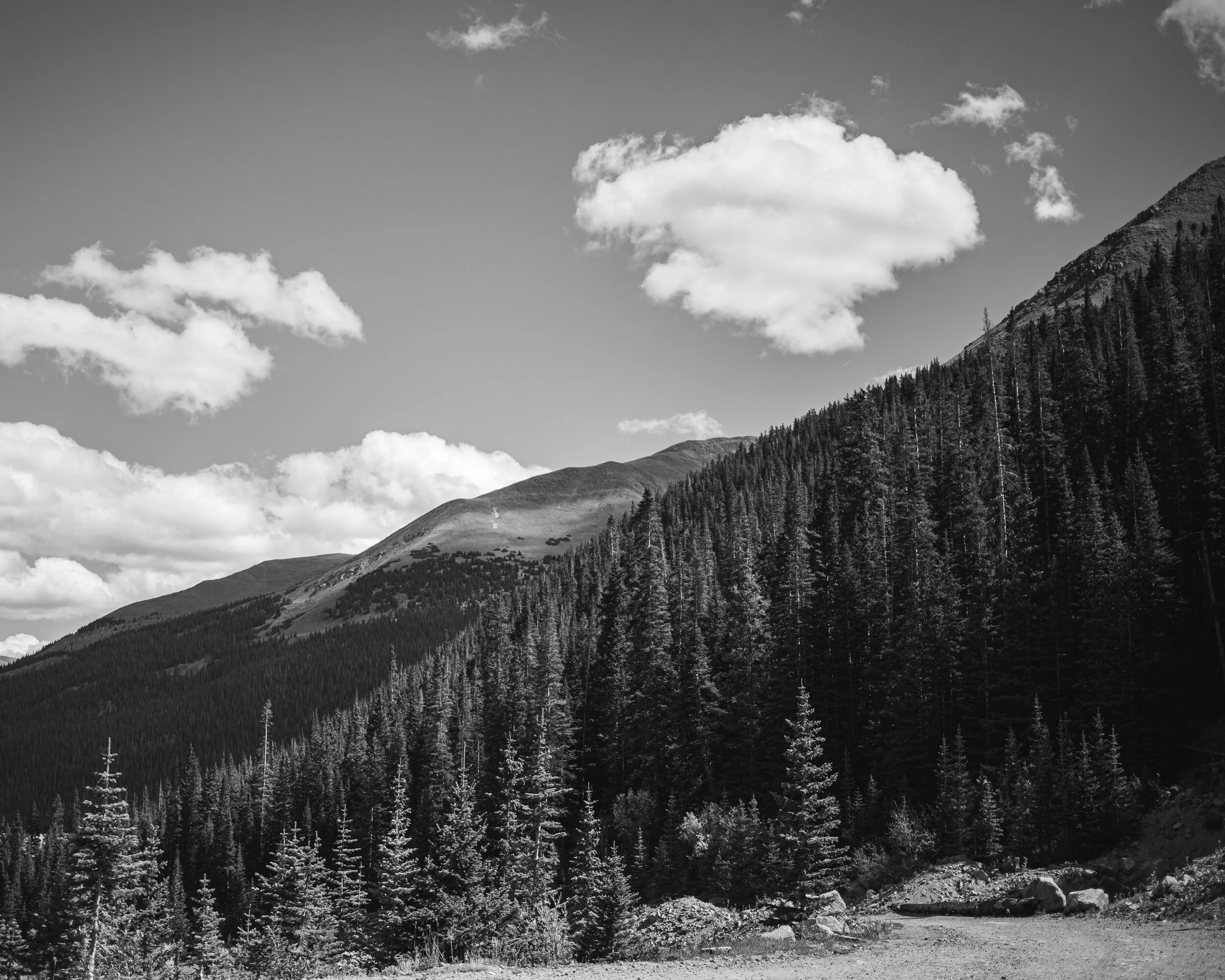 IMG_8890.jpg