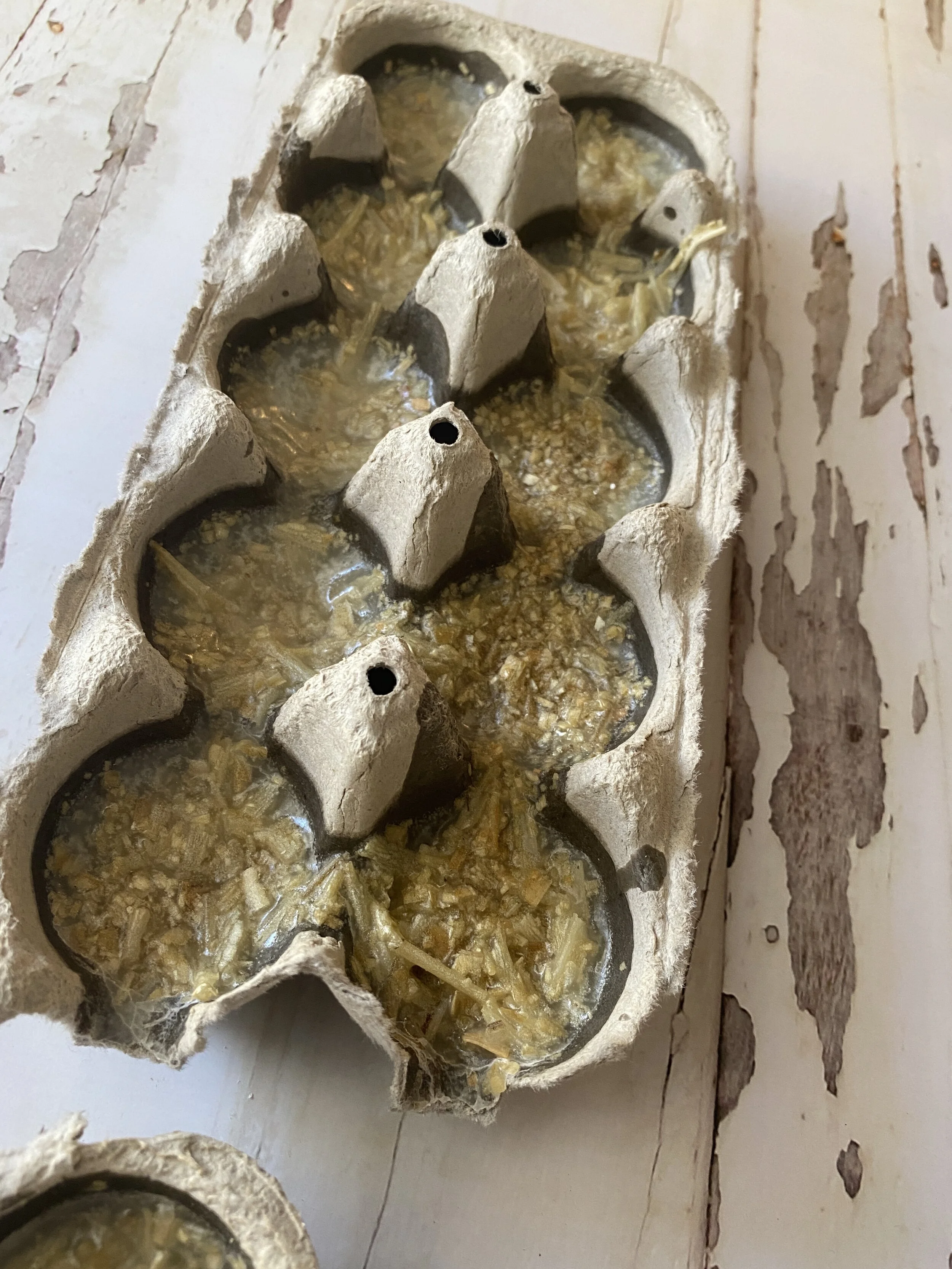 EGG CARTON FIRE STARTERS — The Farm Stand Kitchen