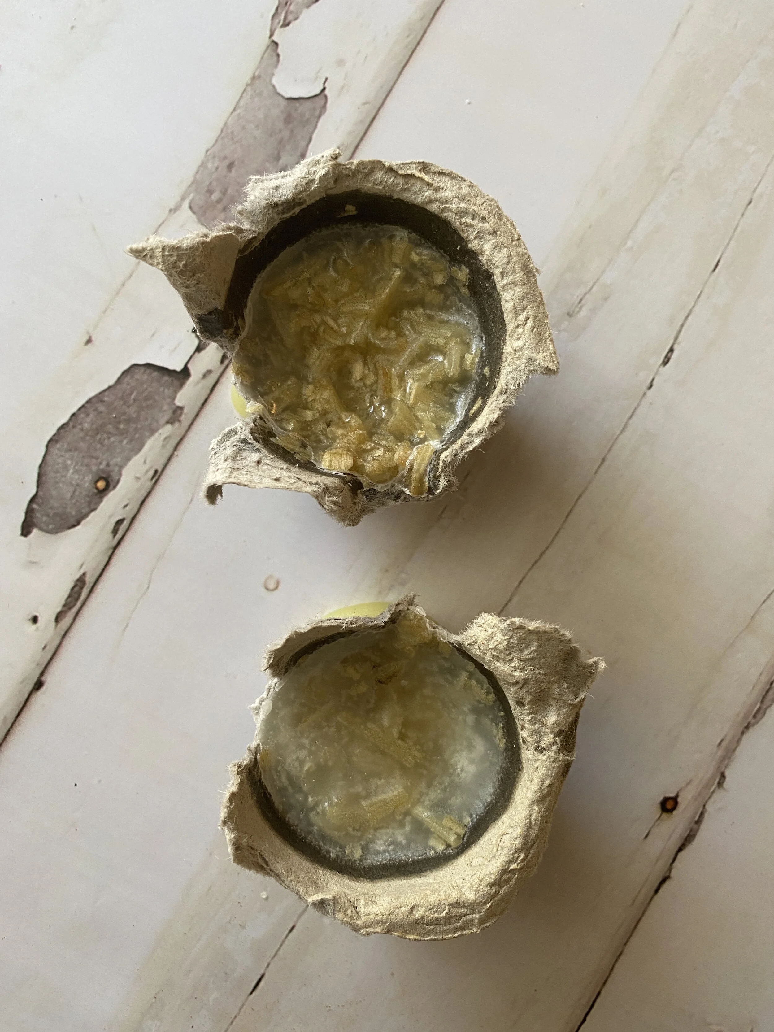 EGG CARTON FIRE STARTERS — The Farm Stand Kitchen