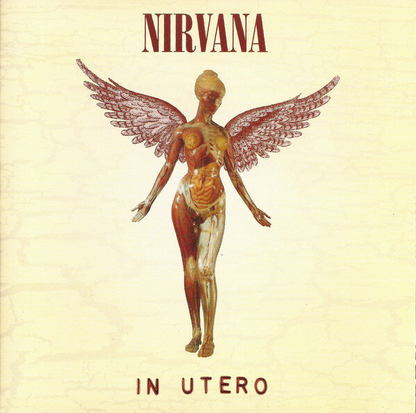 Nirvana - In Utero (Land Devices) 