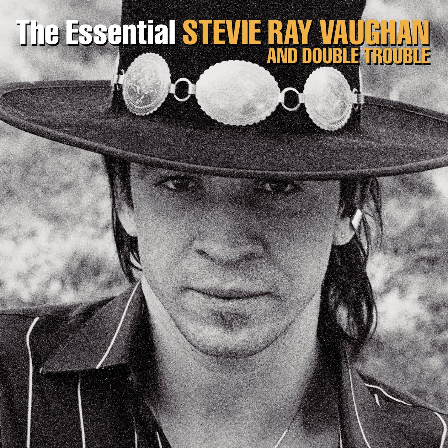 The Essential Stevie Ray Vaughn 