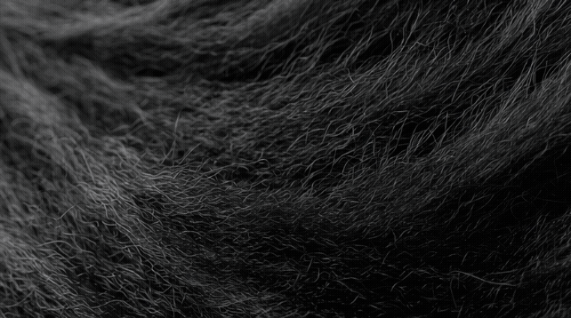 villainstandard_httpss.mj.runpe70C52dT8U_close_up_of_hair_--a_9f55ccc5-6272-42c4-b8ce-c1effa0d0f50_3.gif