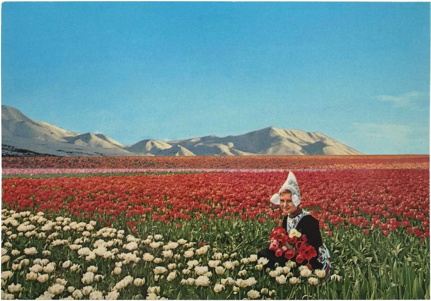 Land Der Blumen Und Berge