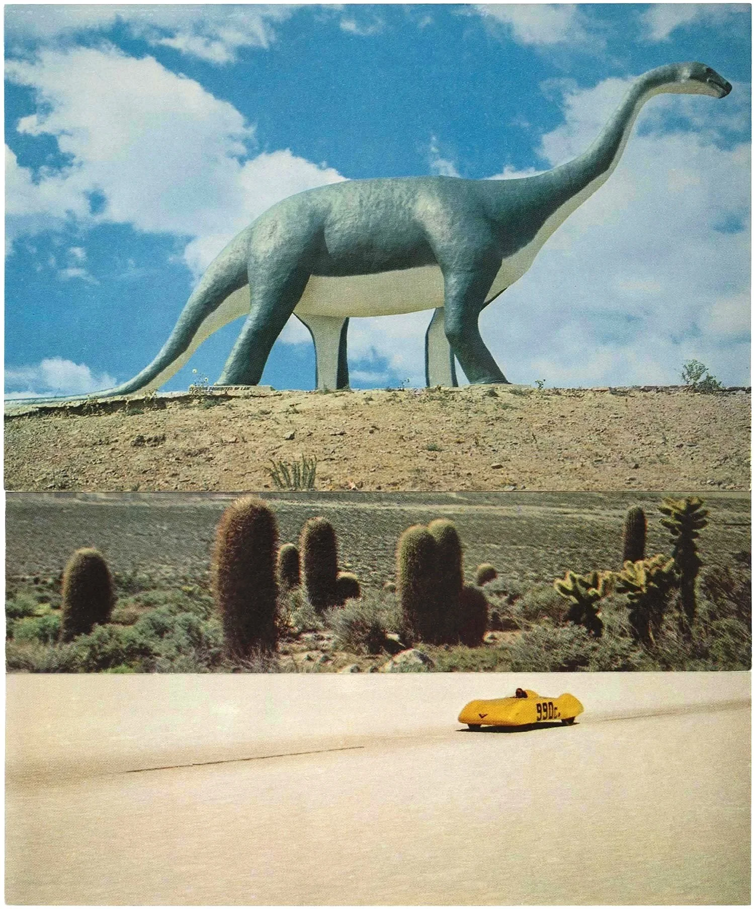 Yellow Carlotta 1958