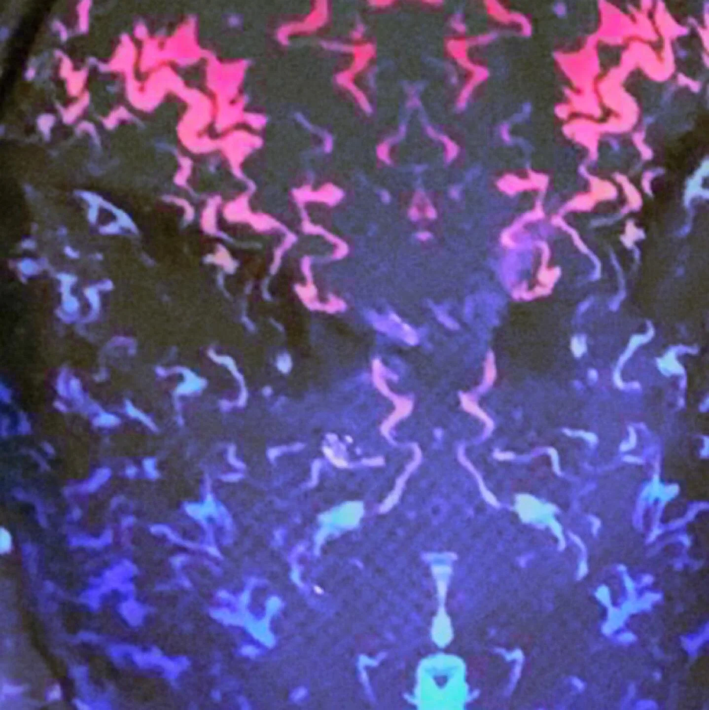 Mood-Alien
Season-SS
Year-2021
Location-www.JulianGarner.com
.
.
.
&copy;️Julian Garner Headwear 2021
#followformore @juliangarnerheadwear
.
.
.
#alien #juliangarner #juliangarnerheadwear #juliangarnermillinery #juliangarnerhats #hat #hats #headwear 