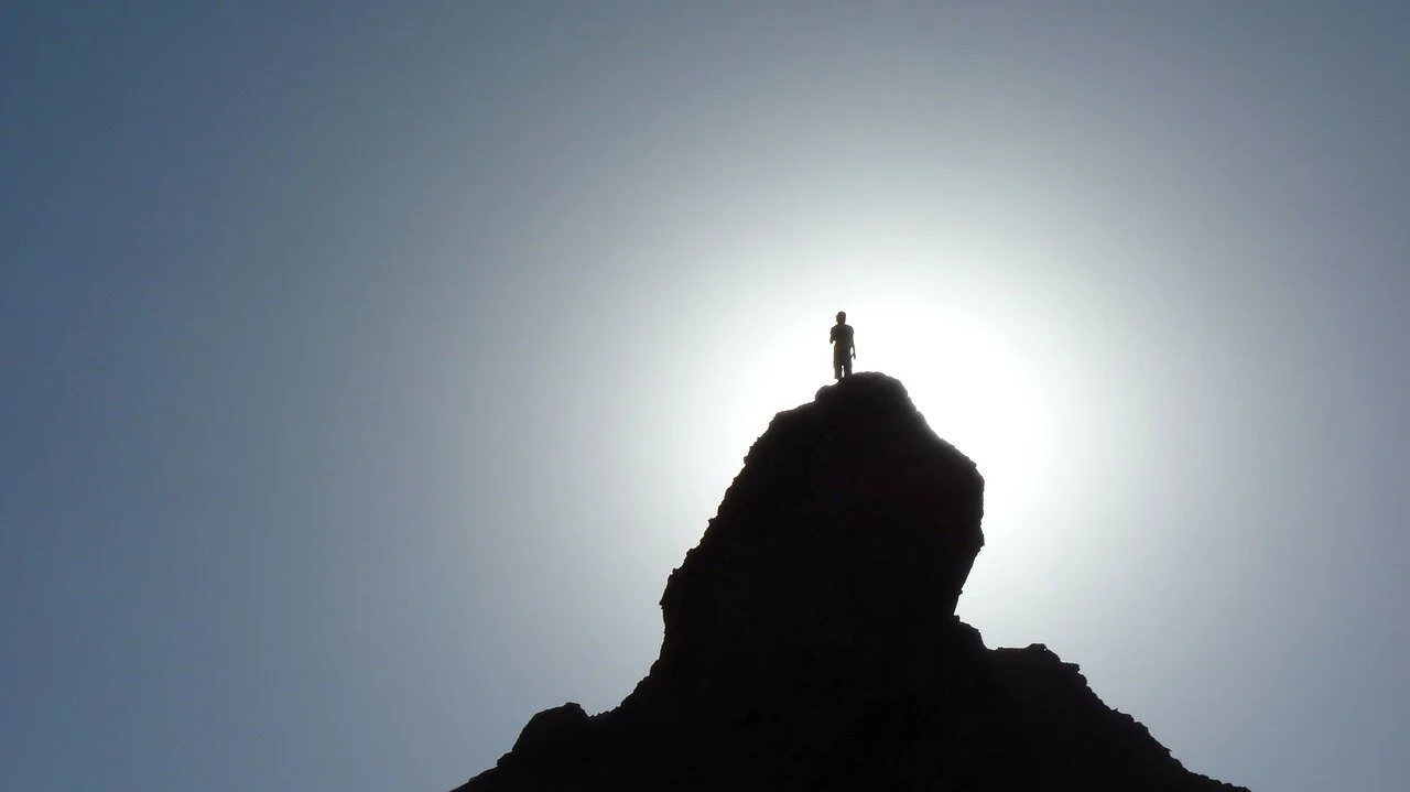 AP silhouette-74565_1280.jpg