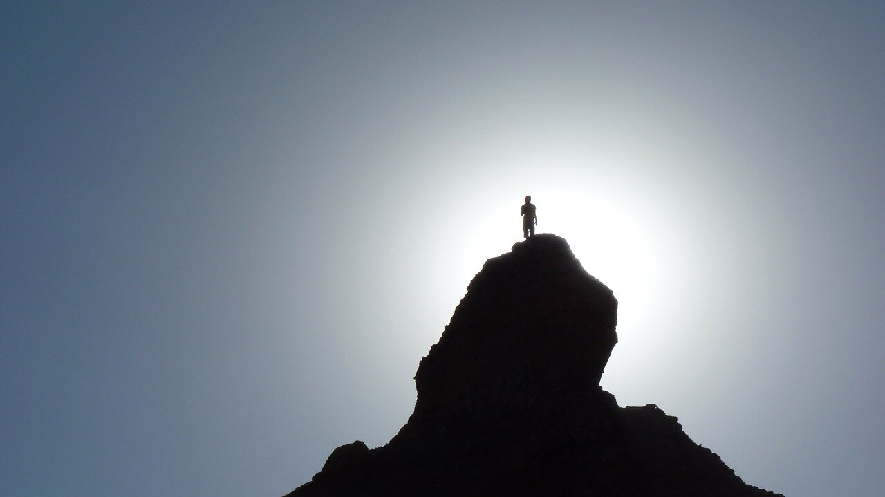 AP silhouette-74565_1280.jpg