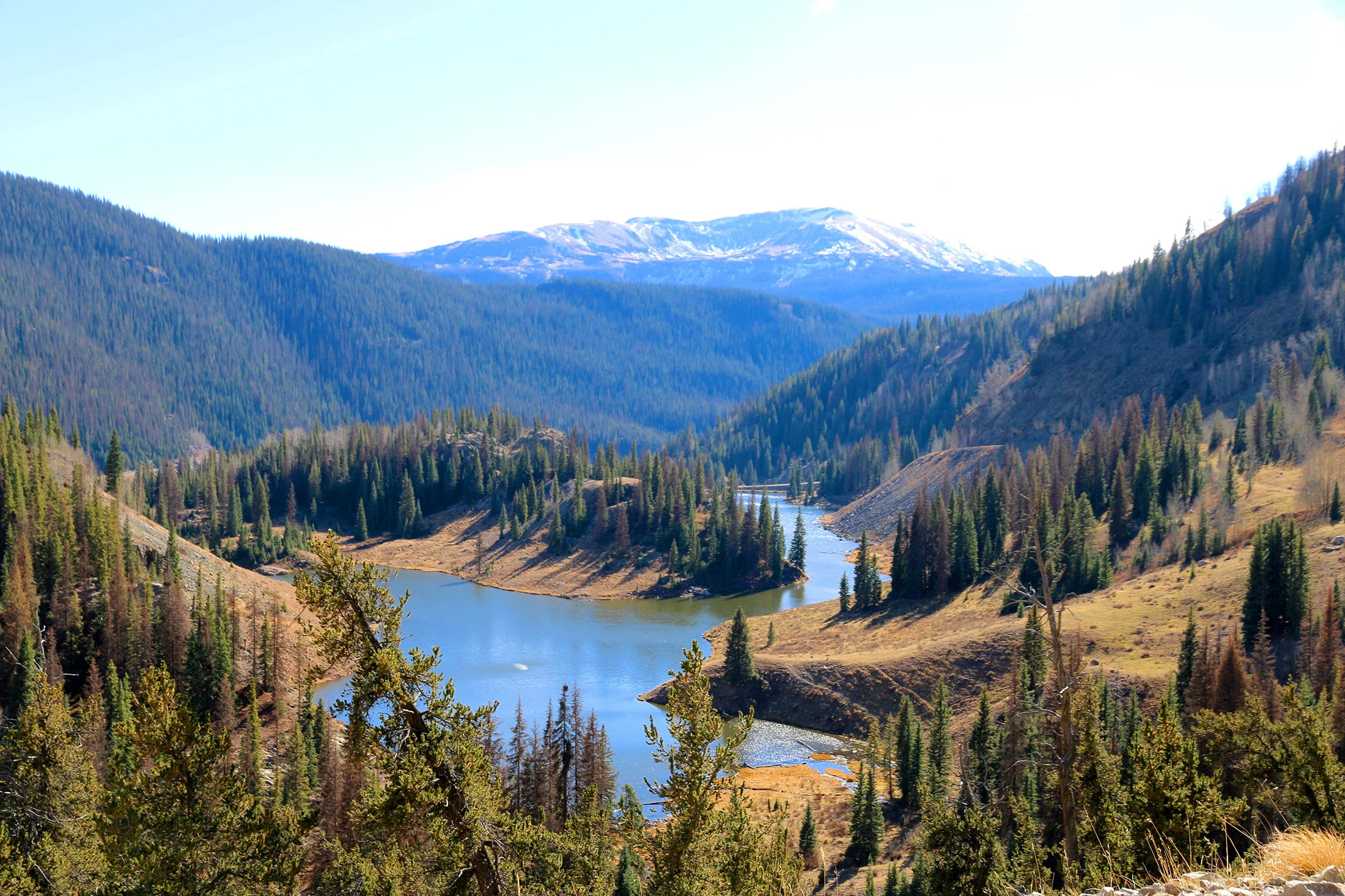 about-header-photo.jpg