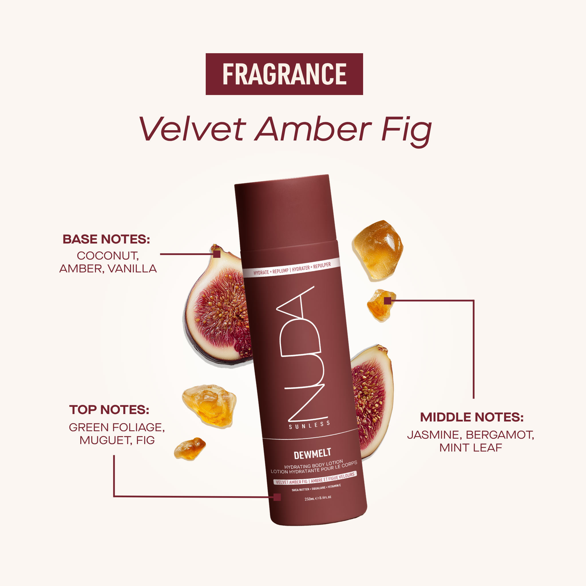 EN - DEWMELT FRAGRANCE.png