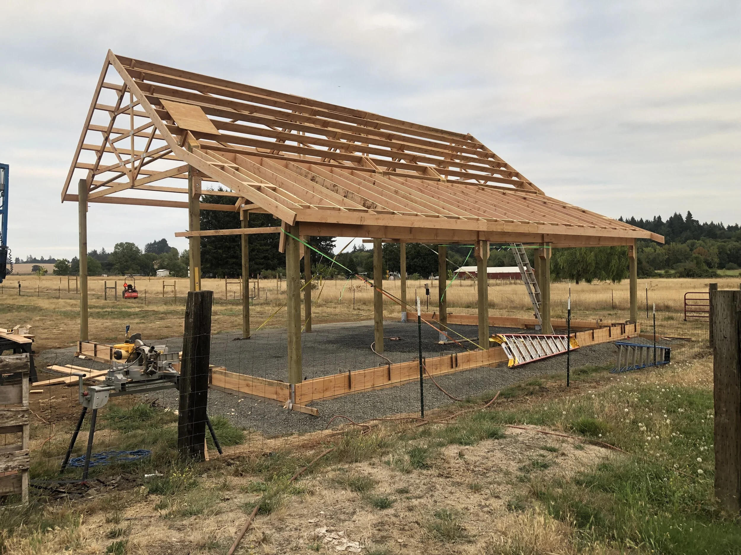 Roof framing ready for next step.