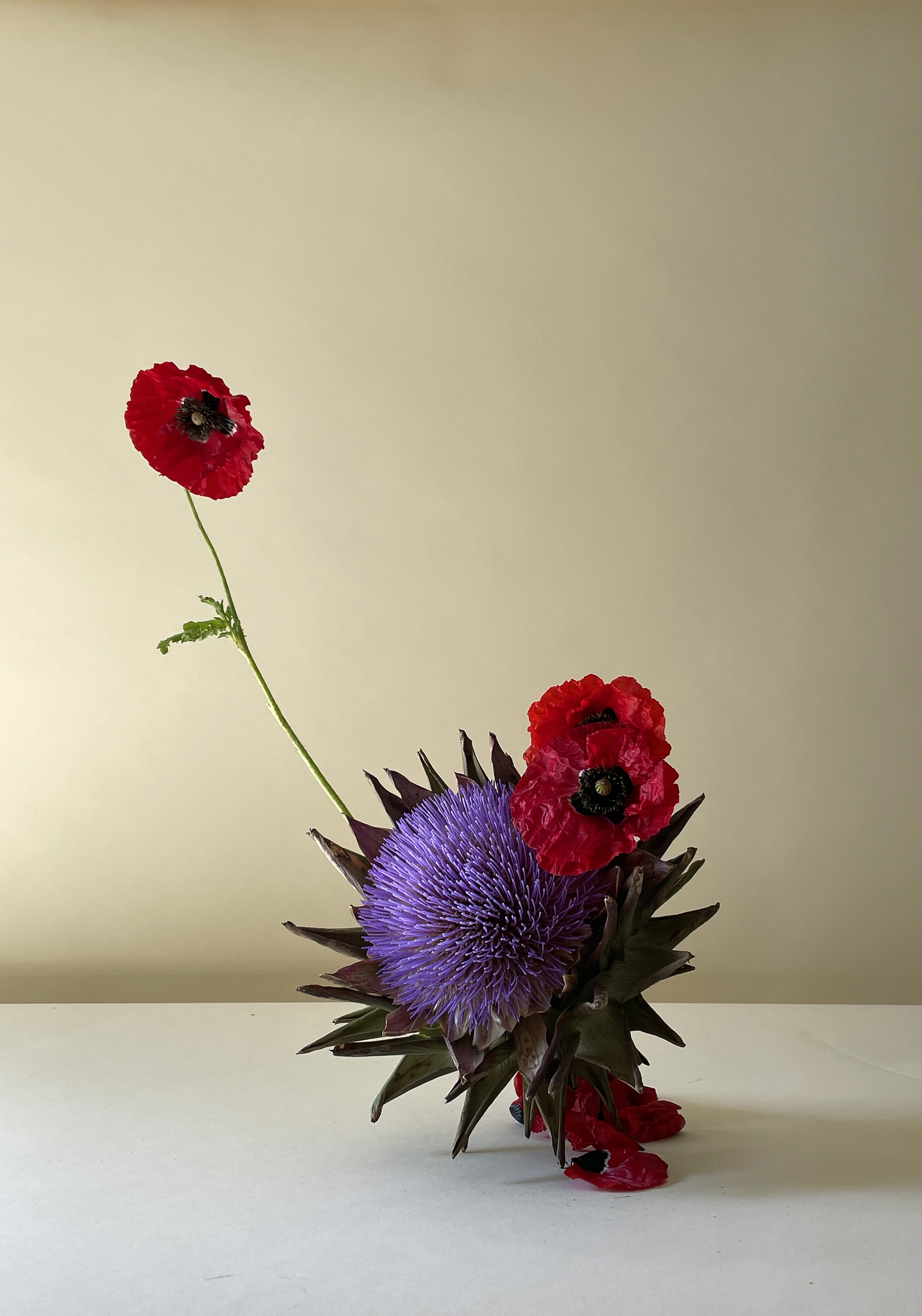 Artichoke Sample (1).png