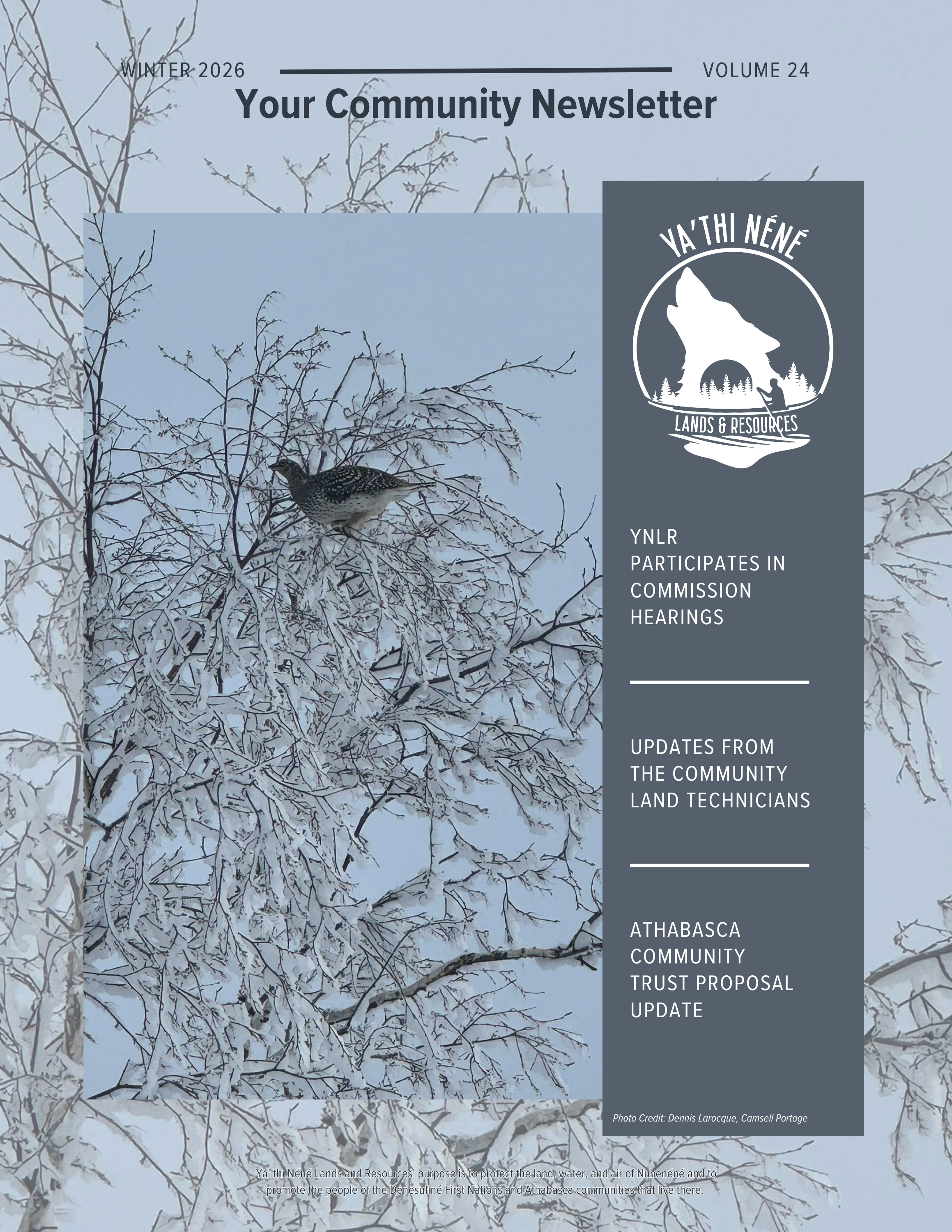 Winter 2026 Newsletter