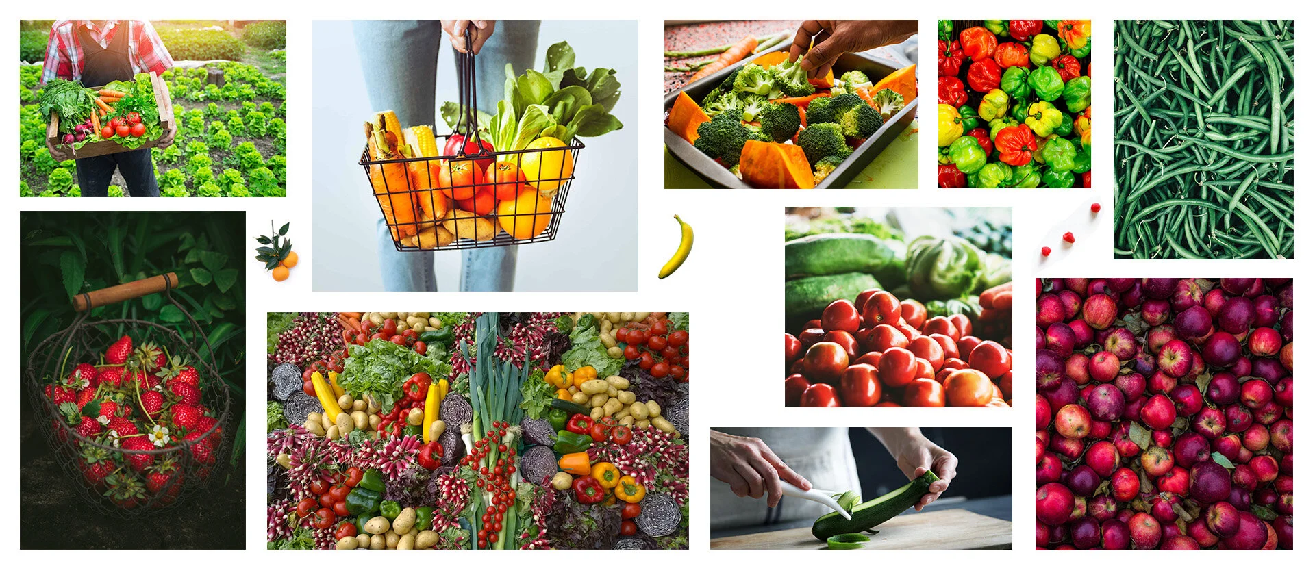 What we do Bountiful Food Sales Quality frozen food broker