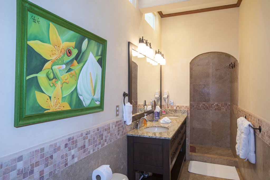 Vista Preciosa Bathroom with Frog Painting IMG_9913.jpg