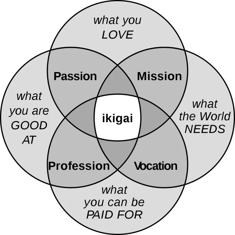 Finding My Ikigai