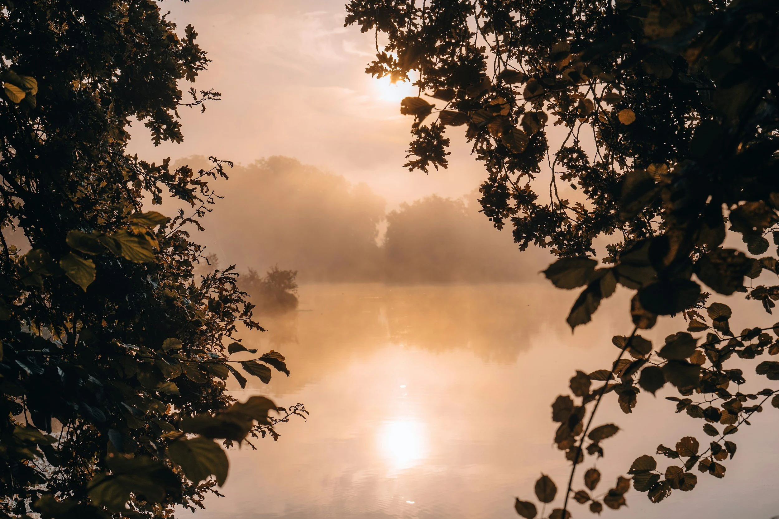 Morning has broken