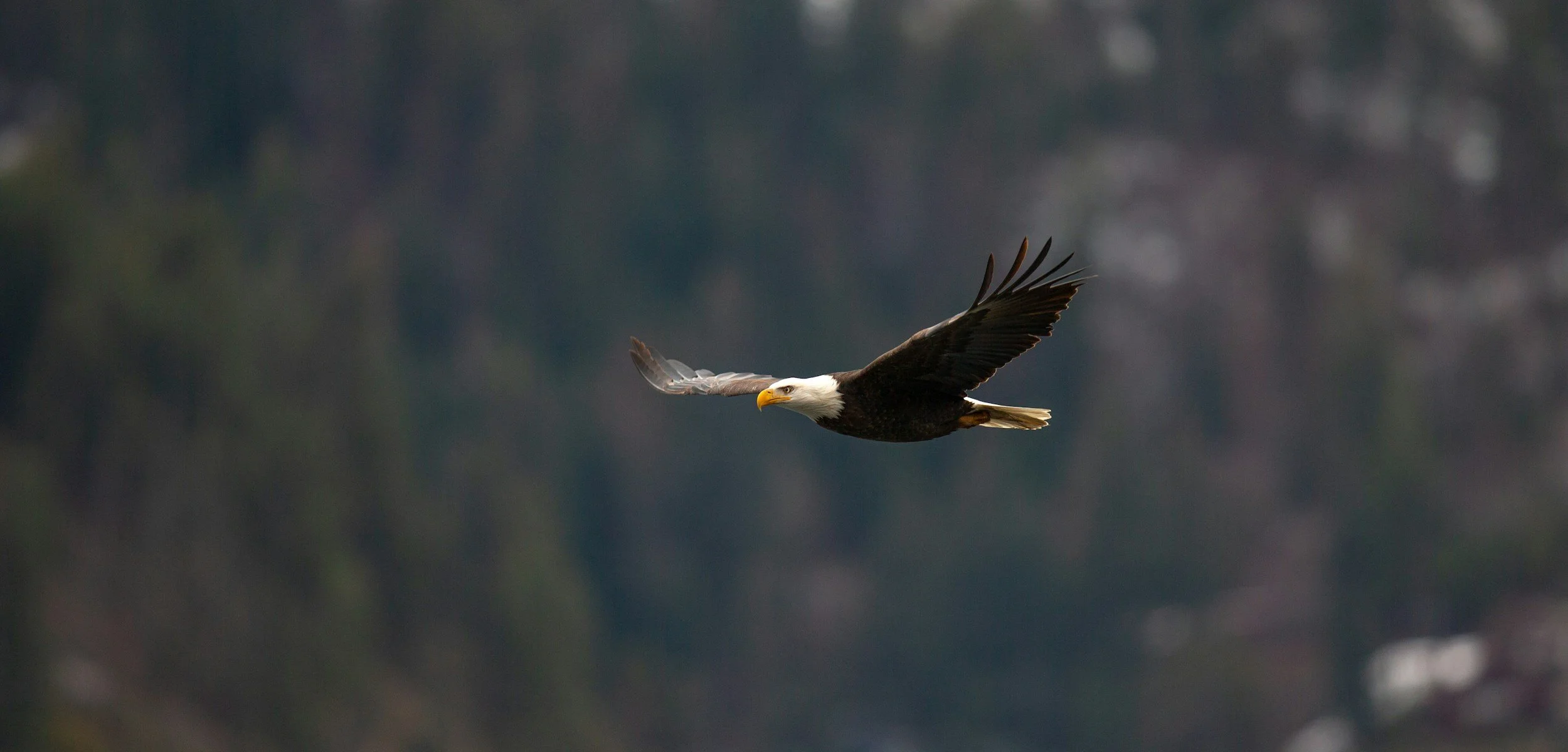 The Currents of the Soul: Soaring the Thermals or Sinking in the Vortex